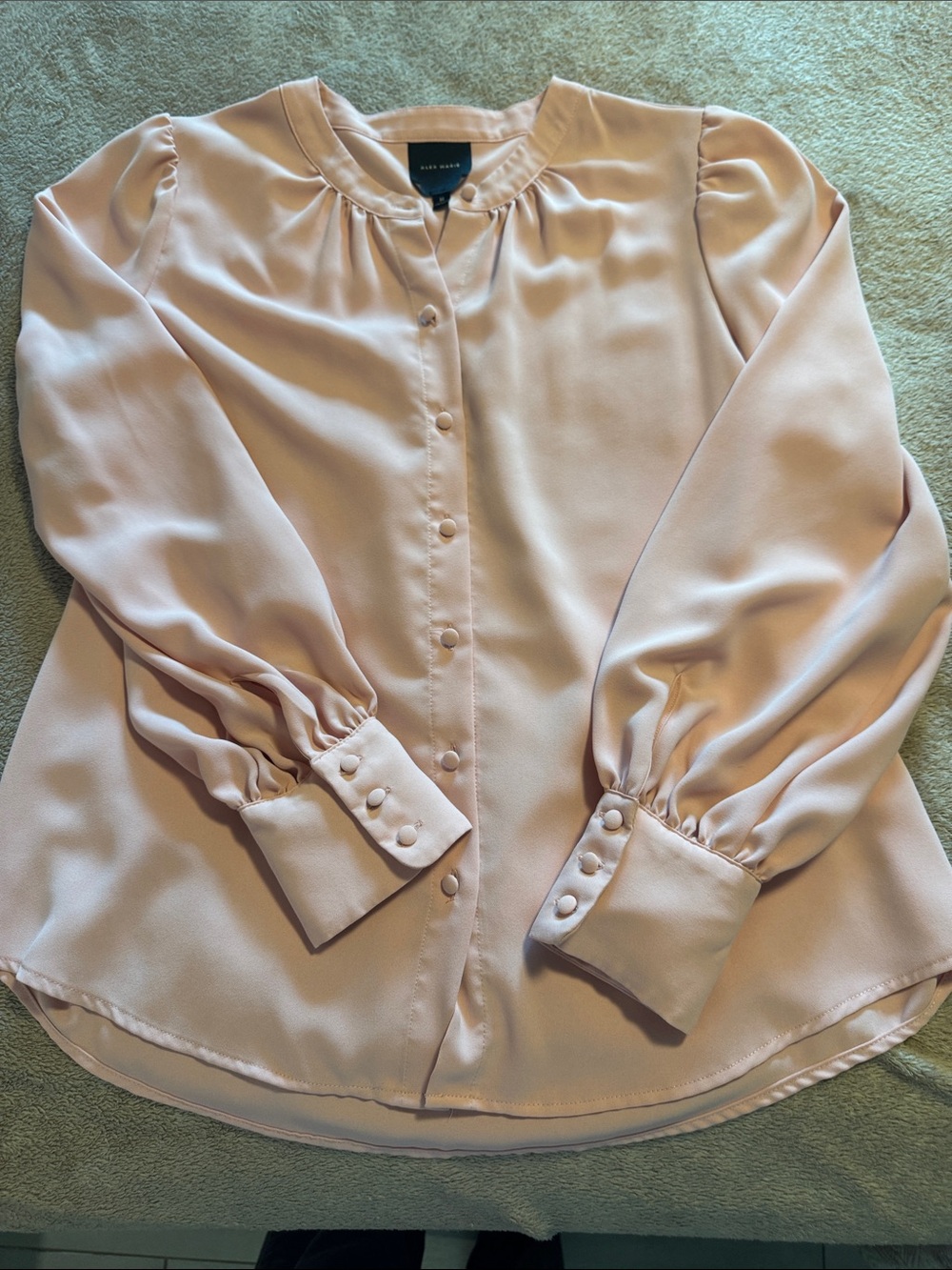 Alex Marie Blush Pink Button-Front Satin Blouse
